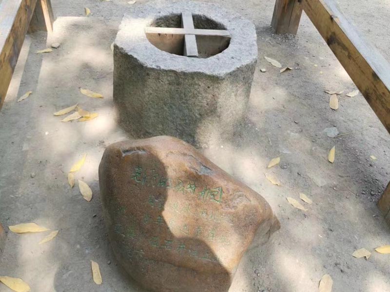 非法集資案件如何快速推進(jìn)處置程序？深圳法律咨詢網(wǎng)來回答