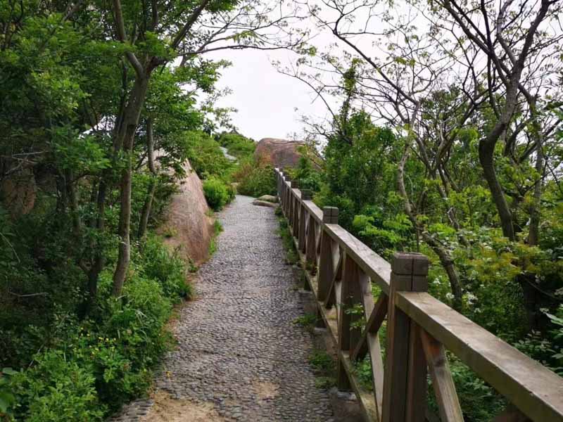 離婚撫養費消失的時效有多長？深圳撫養費律師為您解答