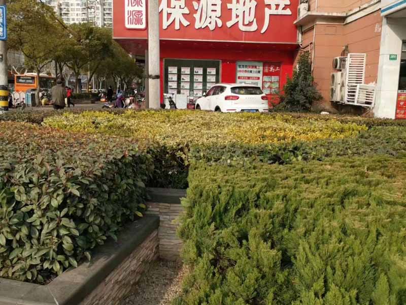 大鵬新區律師:誤拆=強拆！是對房屋的蓄意“謀殺”!構成犯罪！