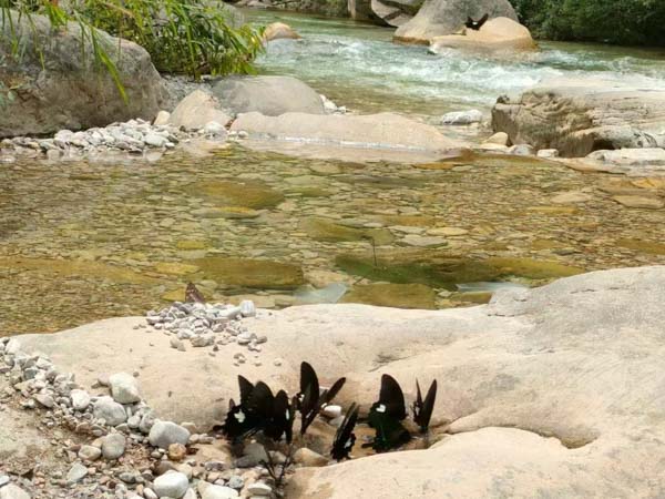 律師遺言見證如何撤銷？深圳遺囑繼承律師釋疑