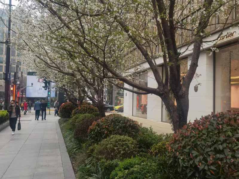 勞動(dòng)者未事先告知用人單位能否直接申請(qǐng)仲裁？深圳法律咨詢(xún)網(wǎng)來(lái)回答