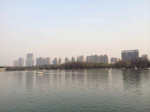面對非法集資政府需要發揮哪些作用？深圳非法集資律師來講講