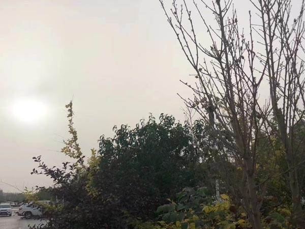 深圳刑事辯護律師為您解答搶劫罪的認(rèn)定需要考慮哪些方面