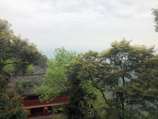 醫療事故中醫患雙方舉證責任該如何分配？深圳醫療糾紛知名律師來回答