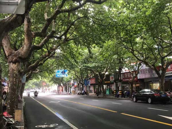 深圳刑事辯護律師帶您了解集資詐騙罪的構成要件與辯護策略